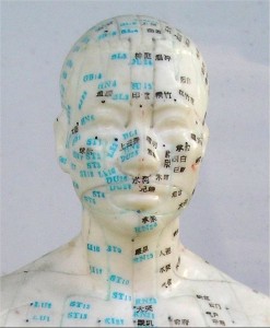 akupunktura twarzy - mapka